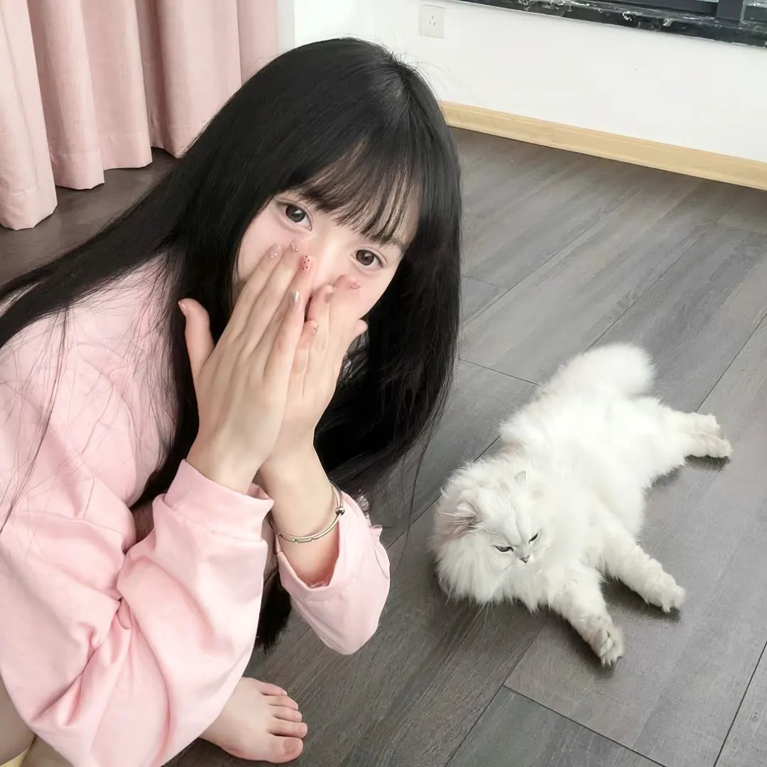 蚊子海岸