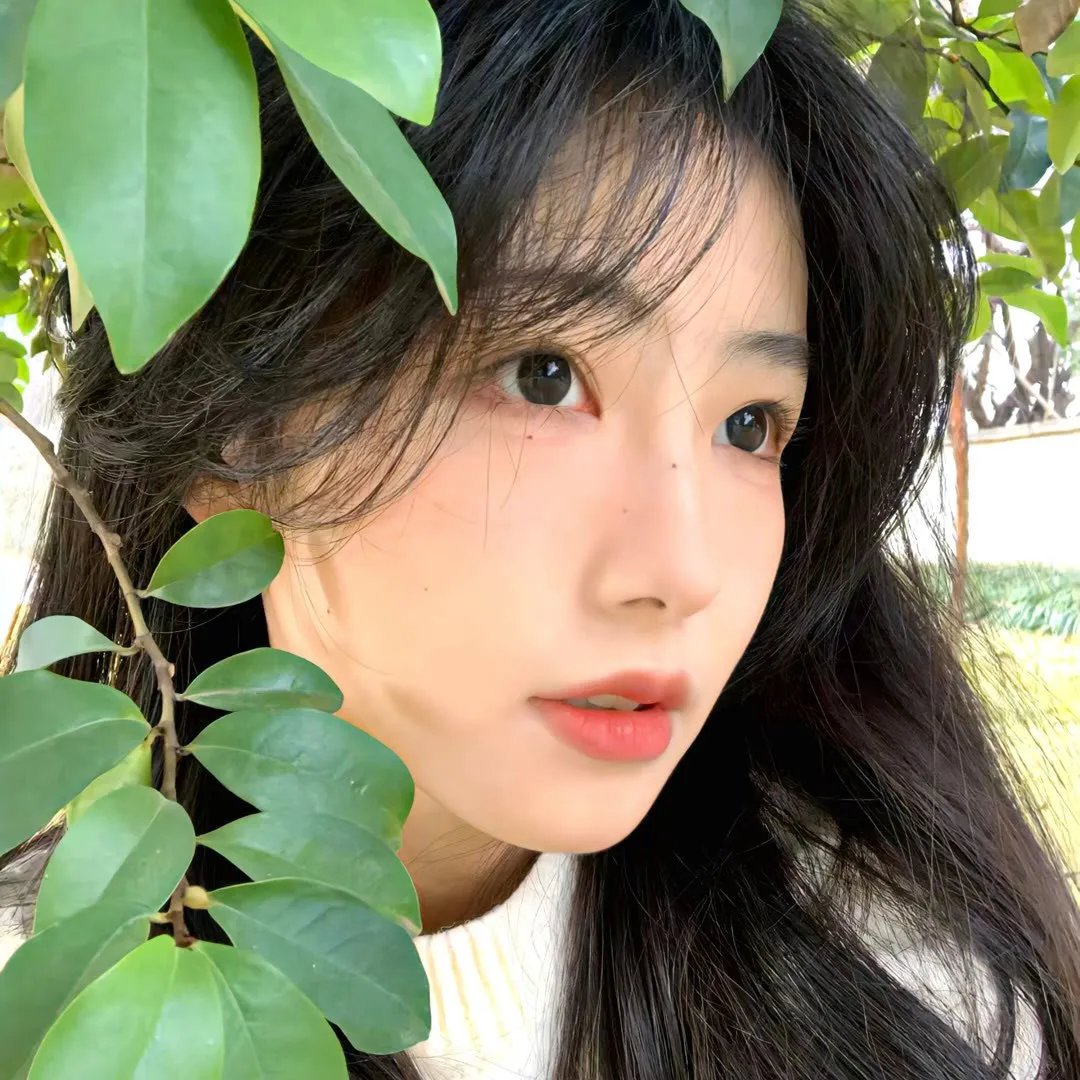 天山的红花