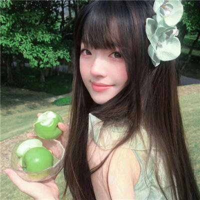 度假伙伴2